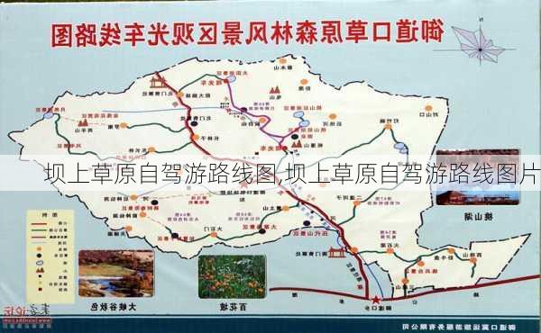 坝上草原自驾游路线图,坝上草原自驾游路线图片