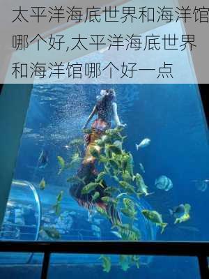 太平洋海底世界和海洋馆哪个好,太平洋海底世界和海洋馆哪个好一点