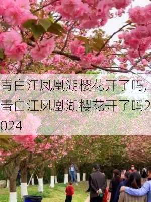 青白江凤凰湖樱花开了吗,青白江凤凰湖樱花开了吗2024