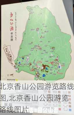 北京香山公园游览路线图,北京香山公园游览路线图片