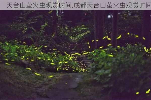 天台山萤火虫观赏时间,成都天台山萤火虫观赏时间