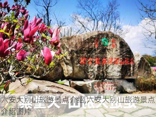 六安大别山旅游景点介绍,六安大别山旅游景点介绍图片