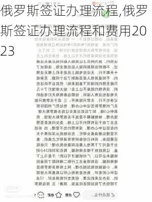 俄罗斯签证办理流程,俄罗斯签证办理流程和费用2023