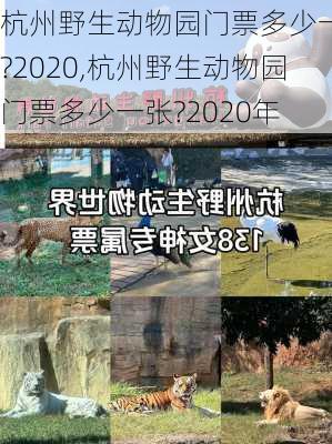 杭州野生动物园门票多少一张?2020,杭州野生动物园门票多少一张?2020年