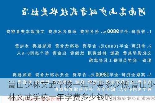 嵩山少林文武学校一年学费多少钱,嵩山少林文武学校一年学费多少钱啊