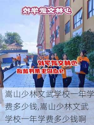 嵩山少林文武学校一年学费多少钱,嵩山少林文武学校一年学费多少钱啊