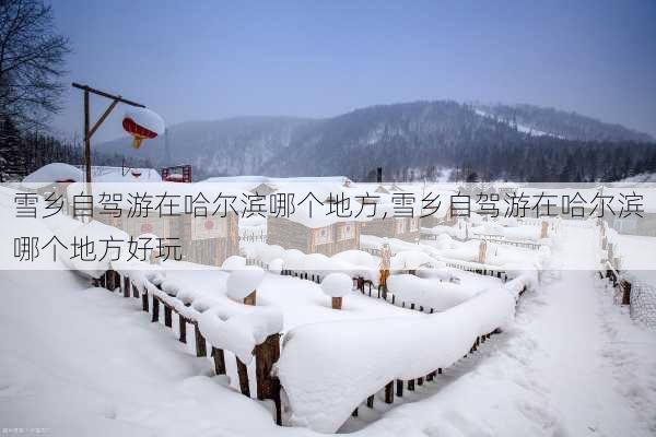 雪乡自驾游在哈尔滨哪个地方,雪乡自驾游在哈尔滨哪个地方好玩