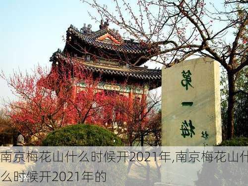 南京梅花山什么时候开2021年,南京梅花山什么时候开2021年的