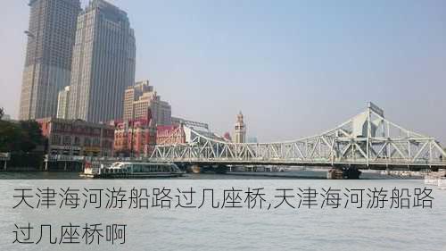 天津海河游船路过几座桥,天津海河游船路过几座桥啊