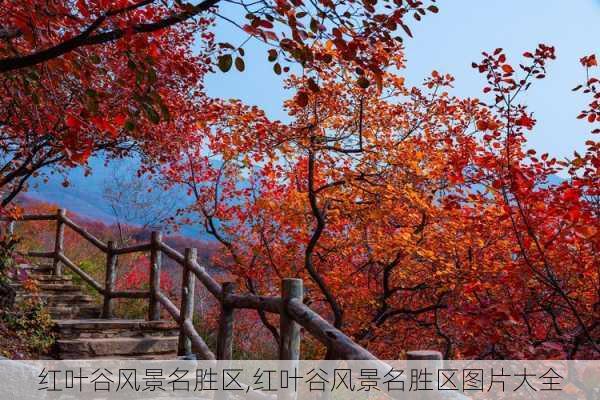 红叶谷风景名胜区,红叶谷风景名胜区图片大全