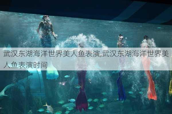 武汉东湖海洋世界美人鱼表演,武汉东湖海洋世界美人鱼表演时间