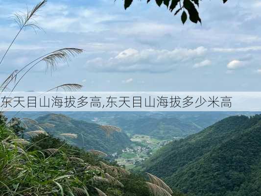 东天目山海拔多高,东天目山海拔多少米高