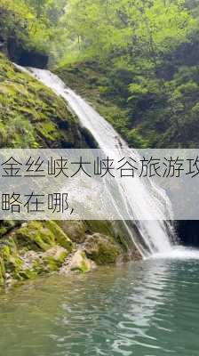 金丝峡大峡谷旅游攻略在哪,