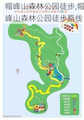 帽峰山森林公园徒步,帽峰山森林公园徒步路线