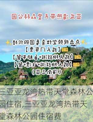 三亚亚龙湾热带天堂森林公园住宿,三亚亚龙湾热带天堂森林公园住宿费