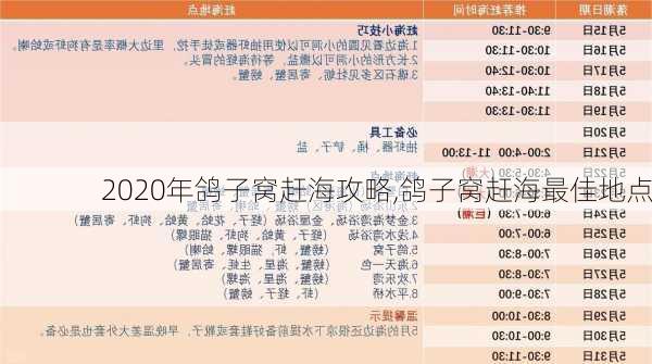 2020年鸽子窝赶海攻略,鸽子窝赶海最佳地点