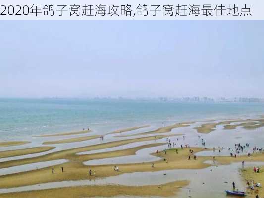 2020年鸽子窝赶海攻略,鸽子窝赶海最佳地点