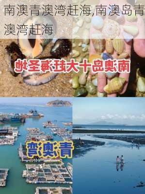 南澳青澳湾赶海,南澳岛青澳湾赶海