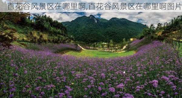 百花谷风景区在哪里啊,百花谷风景区在哪里啊图片