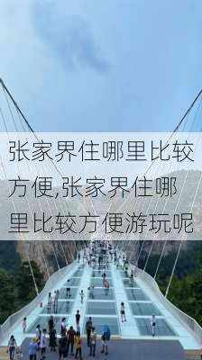 张家界住哪里比较方便,张家界住哪里比较方便游玩呢