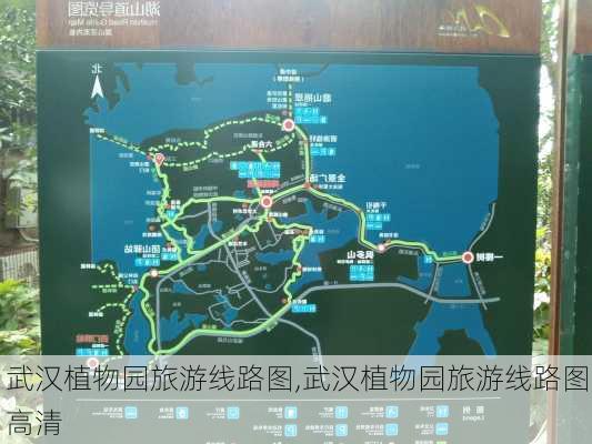 武汉植物园旅游线路图,武汉植物园旅游线路图高清