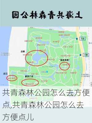 共青森林公园怎么去方便点,共青森林公园怎么去方便点儿