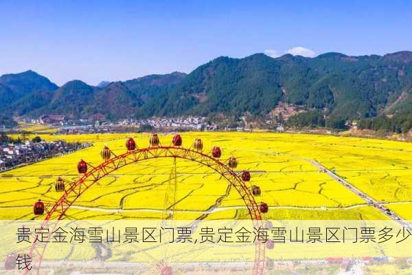 贵定金海雪山景区门票,贵定金海雪山景区门票多少钱