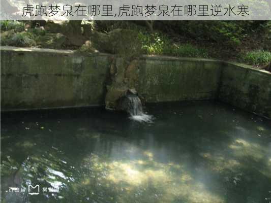 虎跑梦泉在哪里,虎跑梦泉在哪里逆水寒