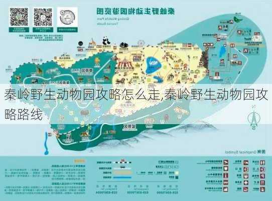 秦岭野生动物园攻略怎么走,秦岭野生动物园攻略路线