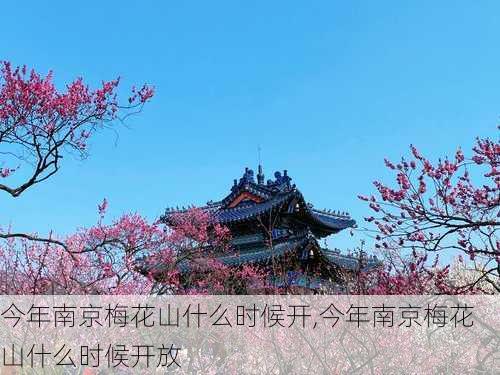 今年南京梅花山什么时候开,今年南京梅花山什么时候开放