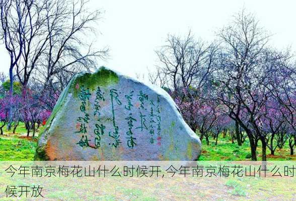 今年南京梅花山什么时候开,今年南京梅花山什么时候开放