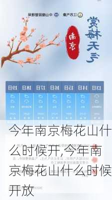 今年南京梅花山什么时候开,今年南京梅花山什么时候开放