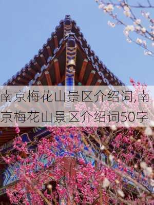 南京梅花山景区介绍词,南京梅花山景区介绍词50字