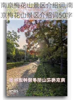 南京梅花山景区介绍词,南京梅花山景区介绍词50字