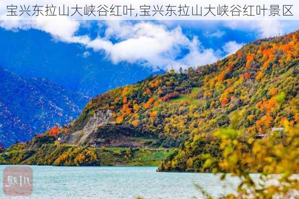 宝兴东拉山大峡谷红叶,宝兴东拉山大峡谷红叶景区