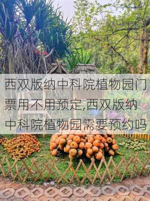 西双版纳中科院植物园门票用不用预定,西双版纳中科院植物园需要预约吗