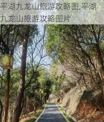 平湖九龙山旅游攻略图,平湖九龙山旅游攻略图片