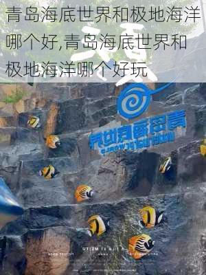 青岛海底世界和极地海洋哪个好,青岛海底世界和极地海洋哪个好玩