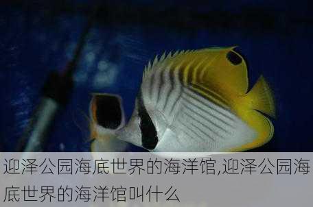 迎泽公园海底世界的海洋馆,迎泽公园海底世界的海洋馆叫什么