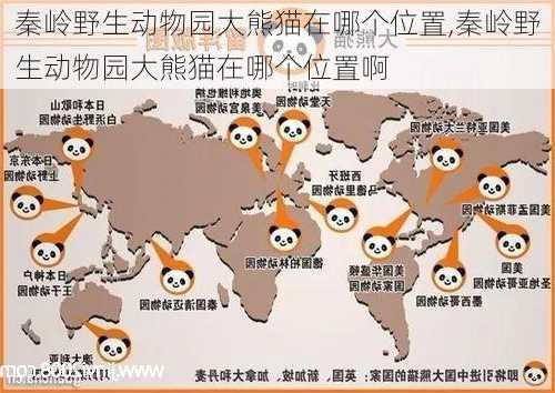 秦岭野生动物园大熊猫在哪个位置,秦岭野生动物园大熊猫在哪个位置啊