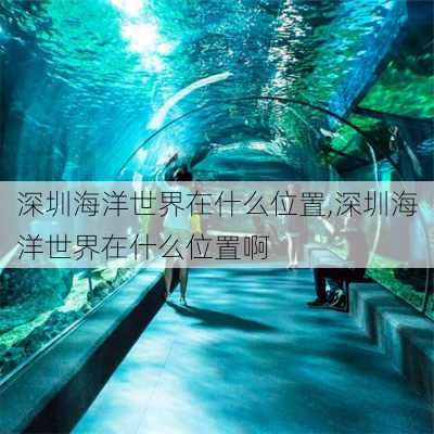 深圳海洋世界在什么位置,深圳海洋世界在什么位置啊