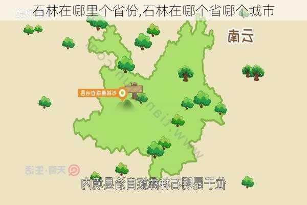 石林在哪里个省份,石林在哪个省哪个城市