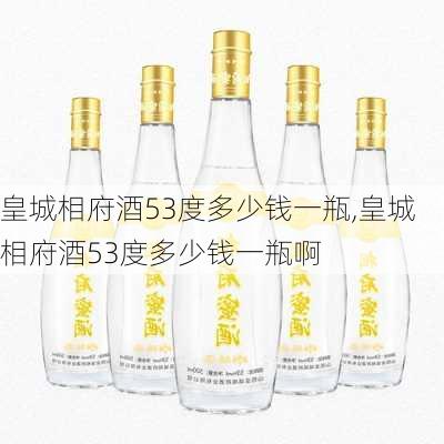 皇城相府酒53度多少钱一瓶,皇城相府酒53度多少钱一瓶啊