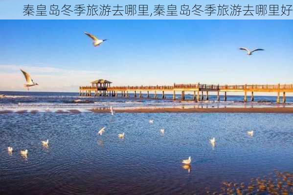 秦皇岛冬季旅游去哪里,秦皇岛冬季旅游去哪里好