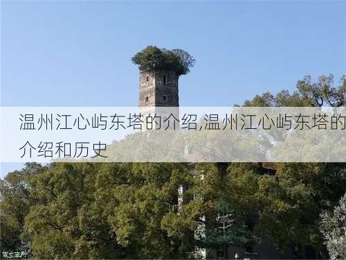 温州江心屿东塔的介绍,温州江心屿东塔的介绍和历史