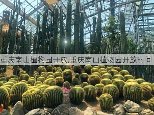 重庆南山植物园开放,重庆南山植物园开放时间