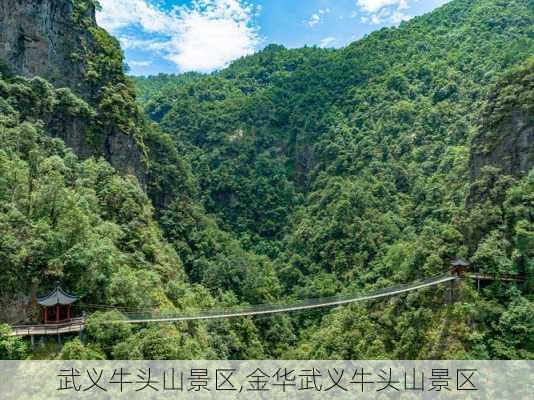 武义牛头山景区,金华武义牛头山景区