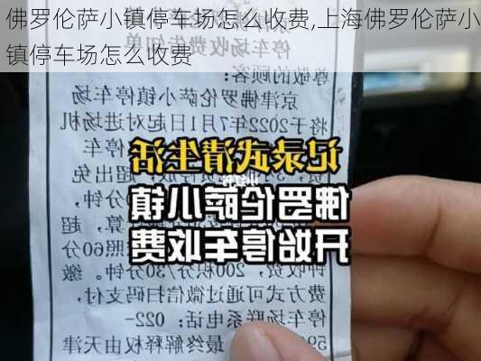 佛罗伦萨小镇停车场怎么收费,上海佛罗伦萨小镇停车场怎么收费