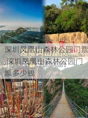 深圳凤凰山森林公园门票,深圳凤凰山森林公园门票多少钱