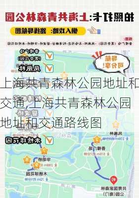 上海共青森林公园地址和交通,上海共青森林公园地址和交通路线图